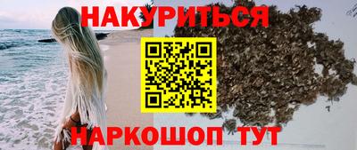 шишки Новокубанск