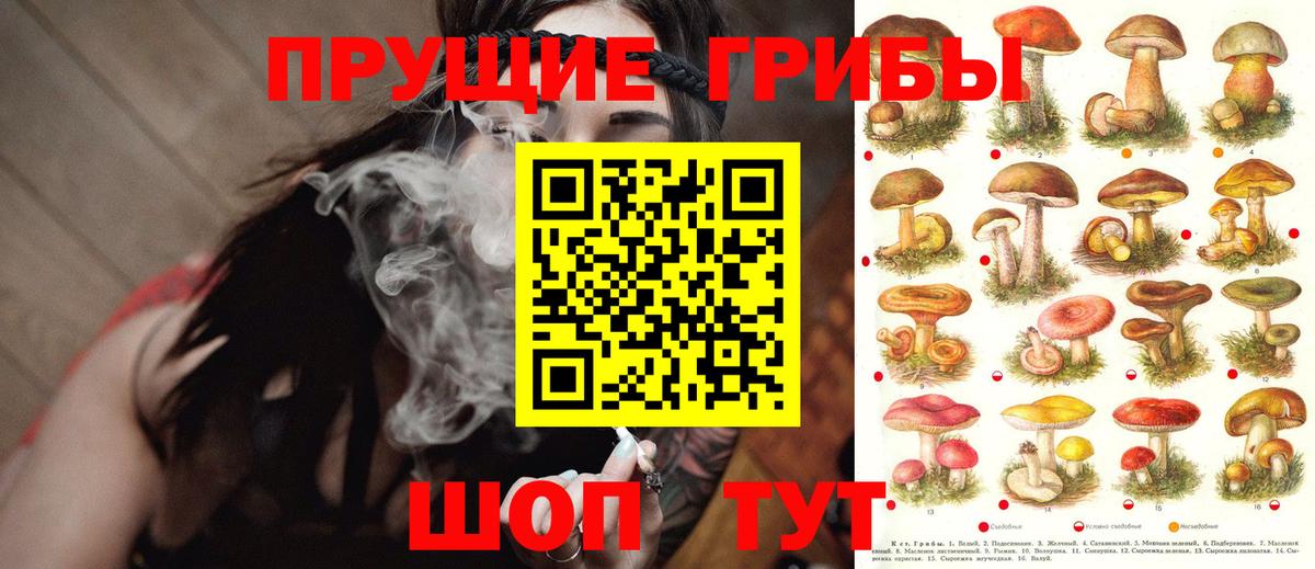 Сергиев Посад  Галлюциногенные грибы Psilocybine cubensis  Вход с VPN 