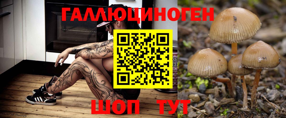 Псилоцибиновые грибы GOLDEN TEACHER Сергиев Посад